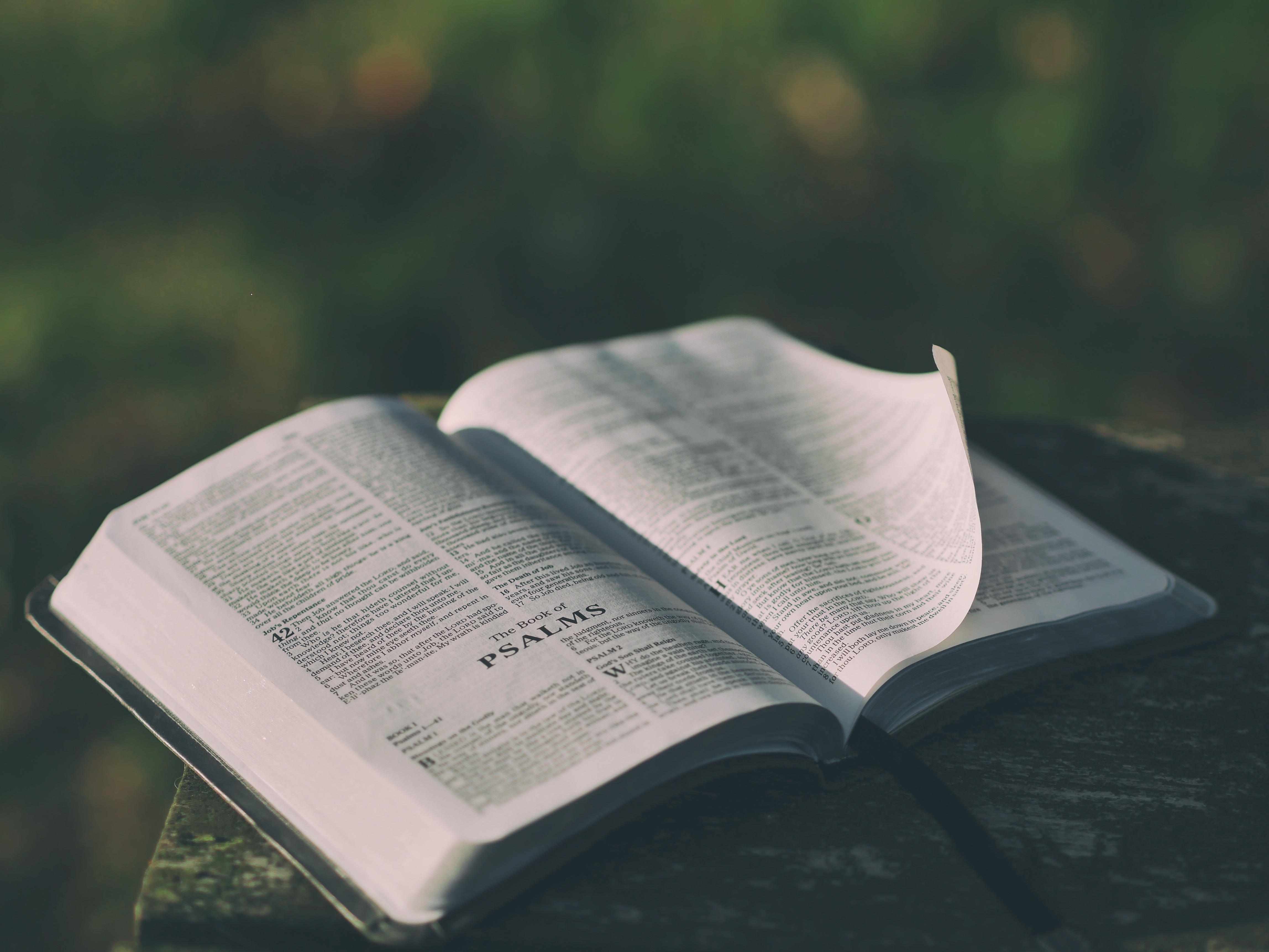Errata corrige &ldquo;Guida pastorale per le celebrazioni liturgiche&rdquo;